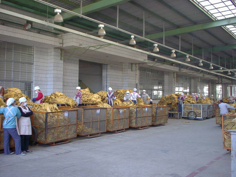 Tobacco manufacturing humidity control Tobacco manufacturing humidity control